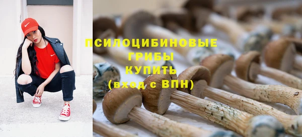 mdpv Коряжма