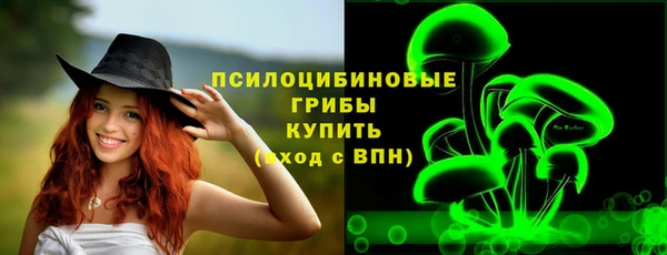 спиды Козловка