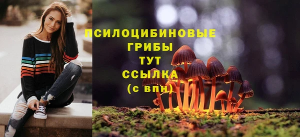 спиды Козловка