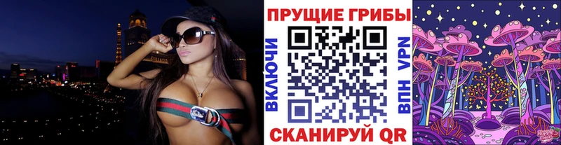 Галлюциногенные грибы ЛСД  даркнет сайт  Михайловка 